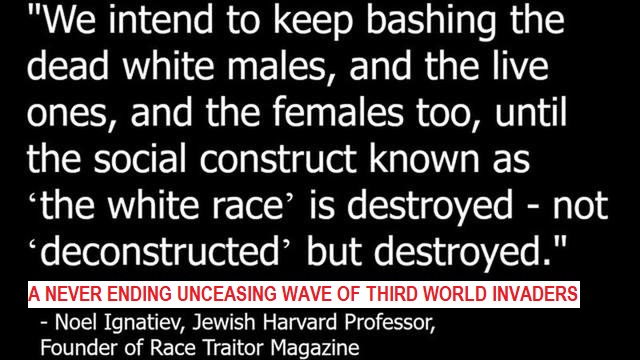 A NEVER ENDING UNCEASING WAVE OF THIRD WORLD INVADERS